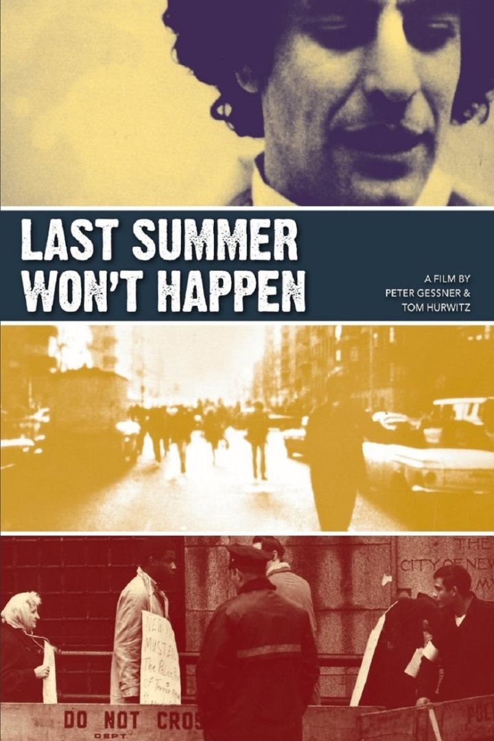 Last Summer Won\'t Happen i gruppen Alla filmer hos Mohamad shop (513878)