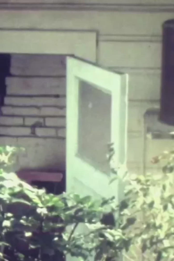 Thorndon i gruppen Alla filmer hos Mohamad shop (514050)