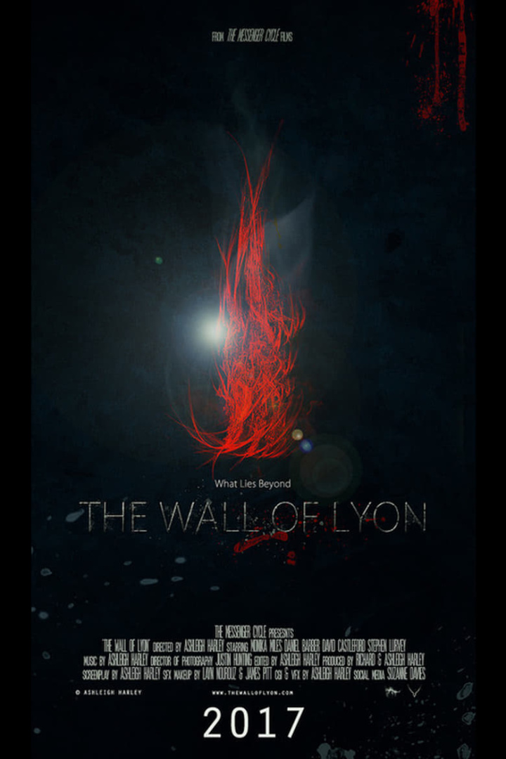 The Wall of Lyon i gruppen Alla filmer hos Mohamad shop (514303)