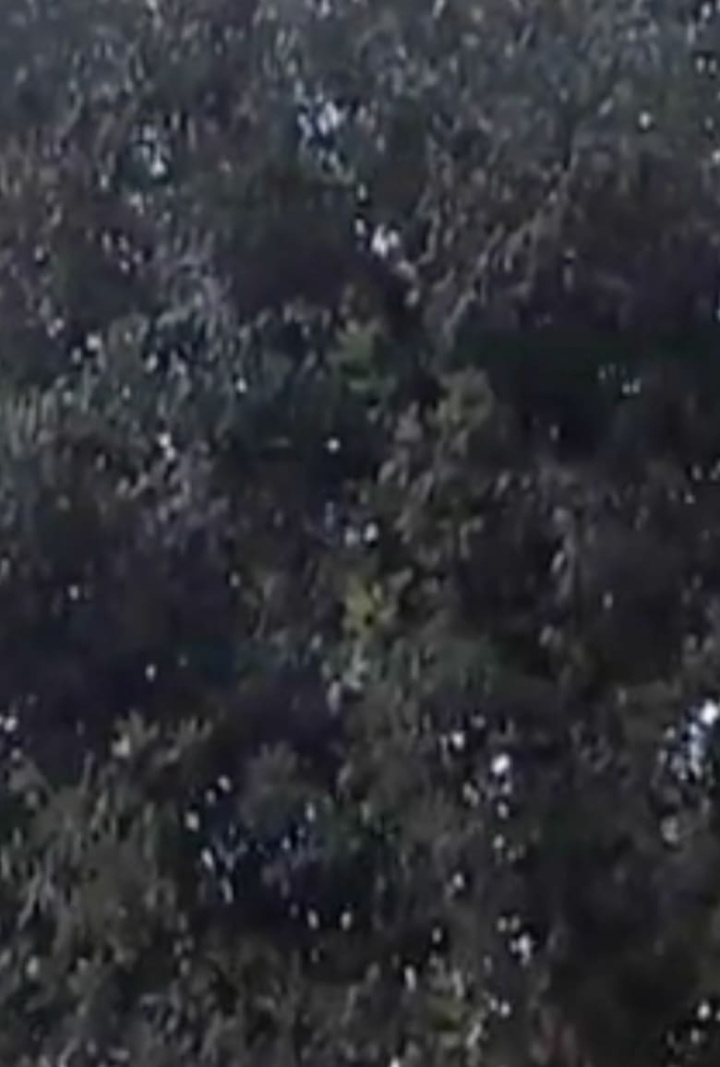 A Daydream i gruppen Alla filmer hos Mohamad shop (514949)