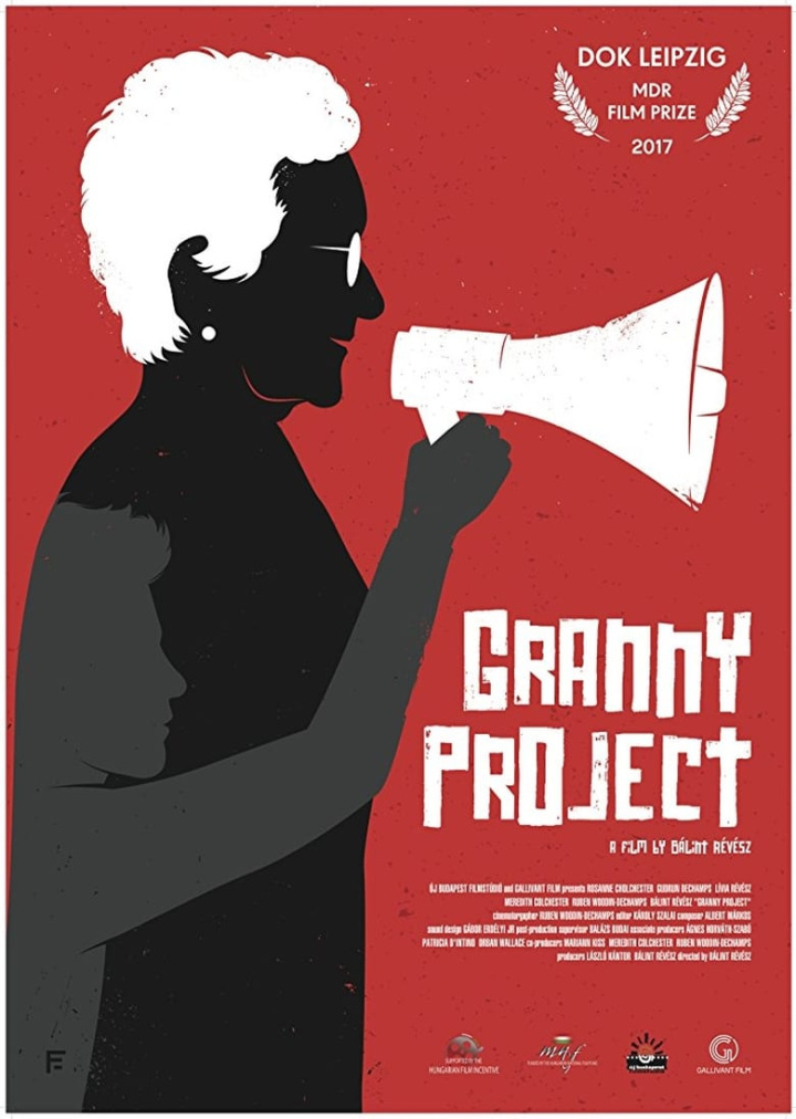 Granny Project i gruppen Alla filmer hos Mohamad shop (514968)