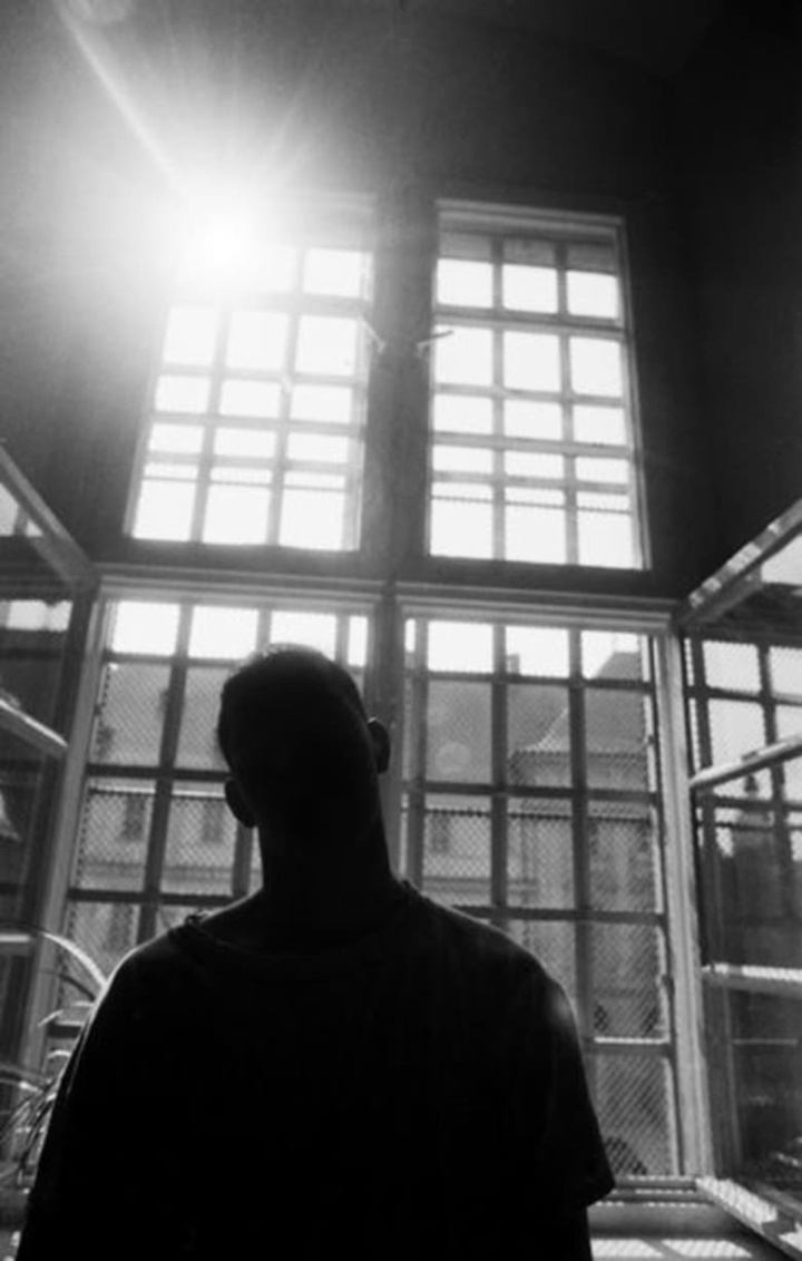 Wildentiere i gruppen Alla filmer hos Mohamad shop (515091)