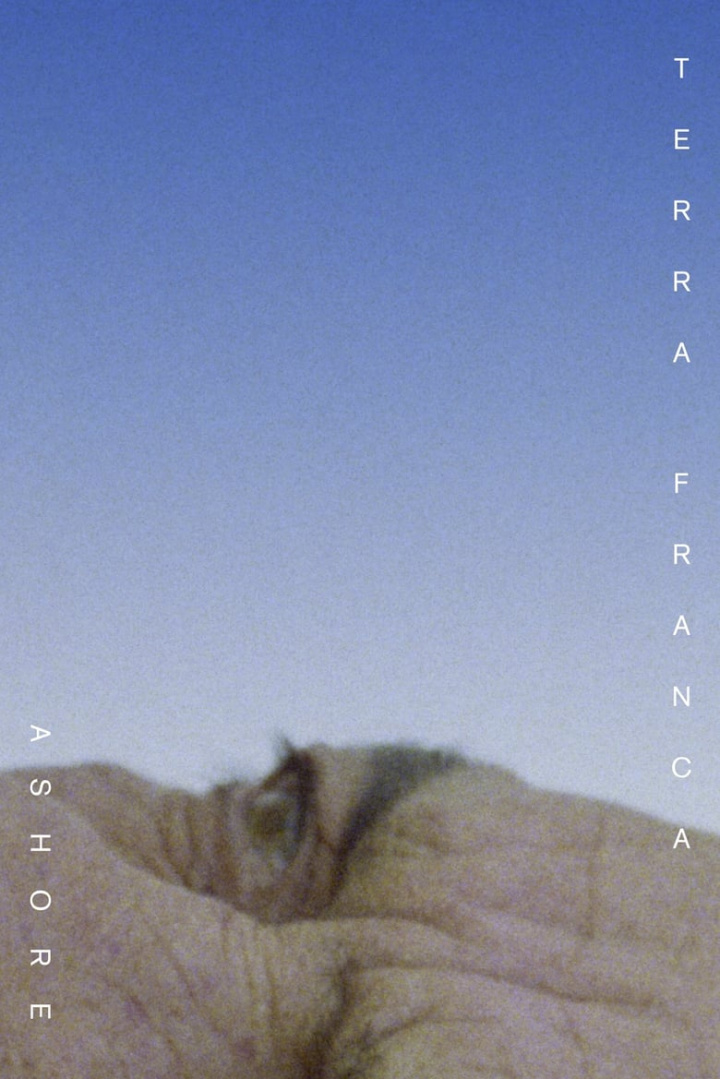 Ashore i gruppen Alla filmer hos Mohamad shop (515219)