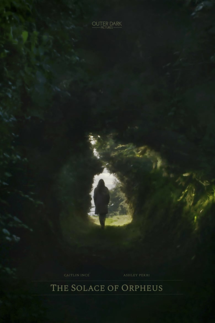 The Solace of Orpheus i gruppen Alla filmer hos Mohamad shop (515278)