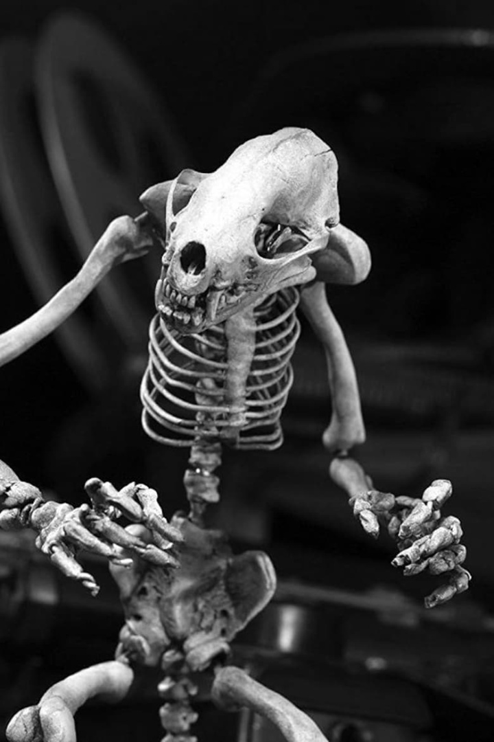 Odokuro i gruppen Alla filmer hos Mohamad shop (515376)