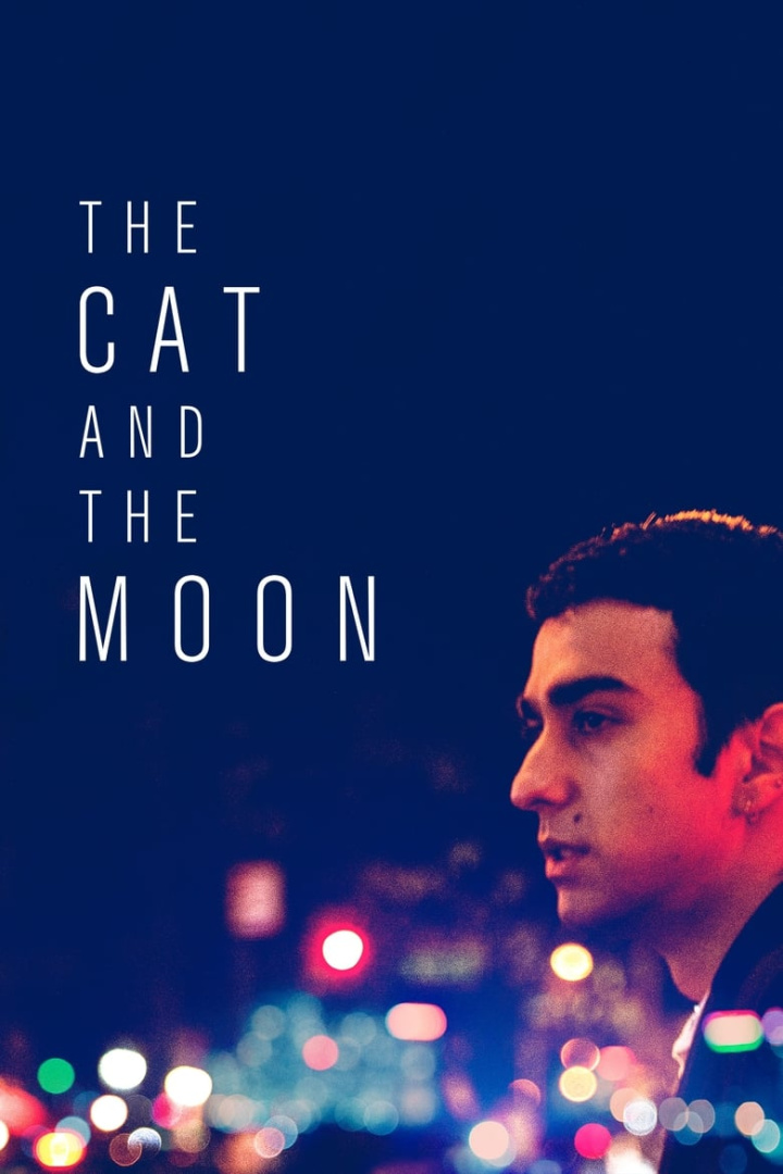 The Cat and the Moon i gruppen Alla filmer hos Mohamad shop (515402)