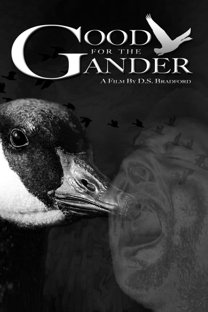 Good for the Gander i gruppen Thriller hos Mohamad shop (515990)