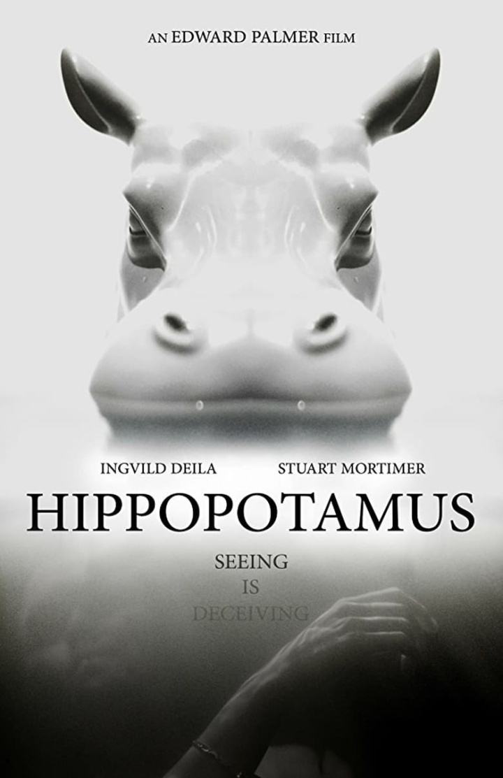 Hippopotamus i gruppen Alla filmer hos Mohamad shop (516027)