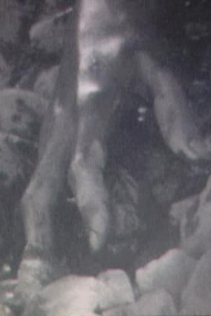 Broken Flesh Ecstasy i gruppen Alla filmer hos Mohamad shop (516182)