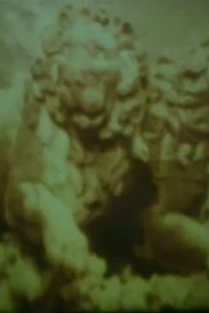 Nif Fin i gruppen Alla filmer hos Mohamad shop (516188)