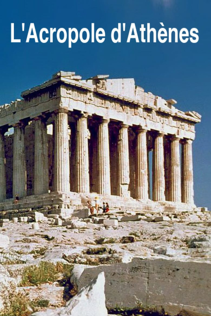 Summit of the Gods i gruppen Alla filmer hos Mohamad shop (516323)