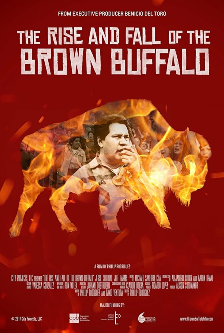 The Rise and Fall of the Brown Buffalo i gruppen Alla filmer hos Mohamad shop (516511)