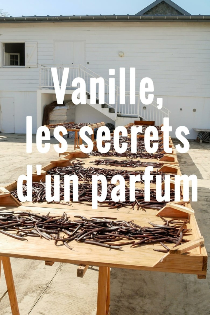 Vanille, les secrets d\'un parfum i gruppen Alla filmer hos Mohamad shop (516514)