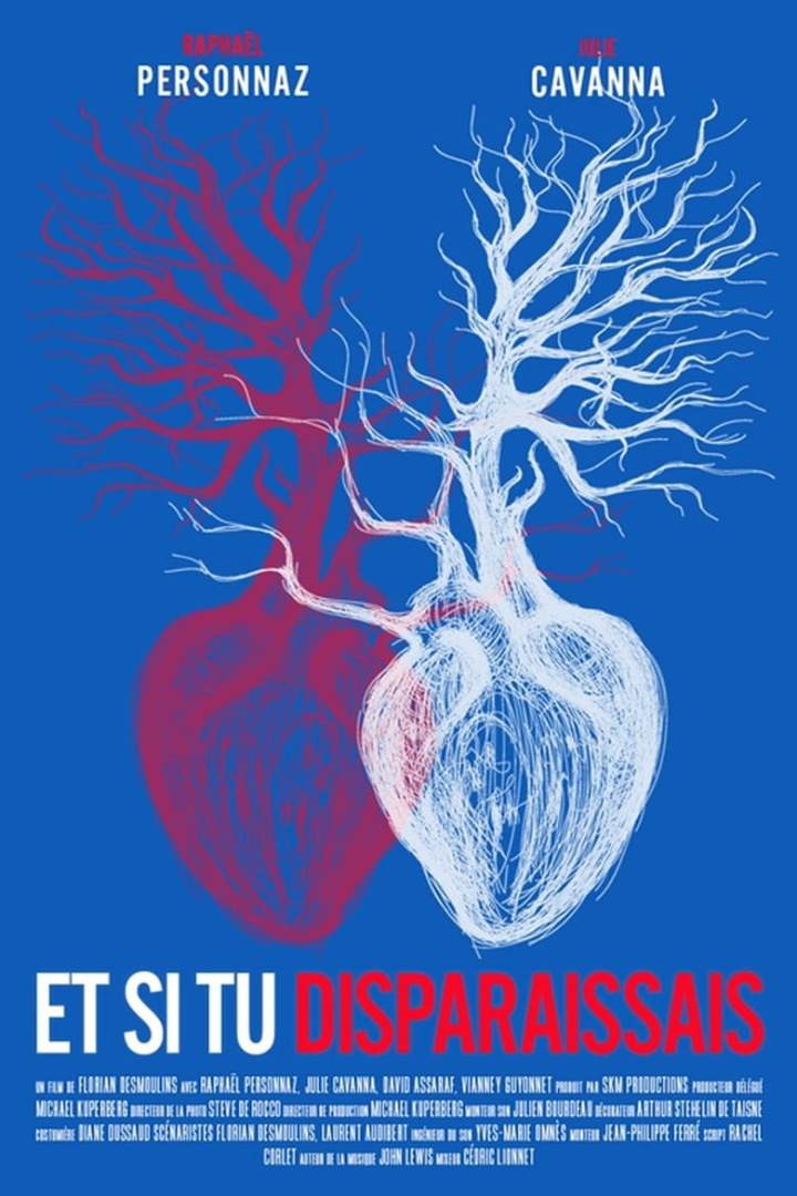 Et si tu disparaissais... i gruppen Alla filmer hos Mohamad shop (516580)