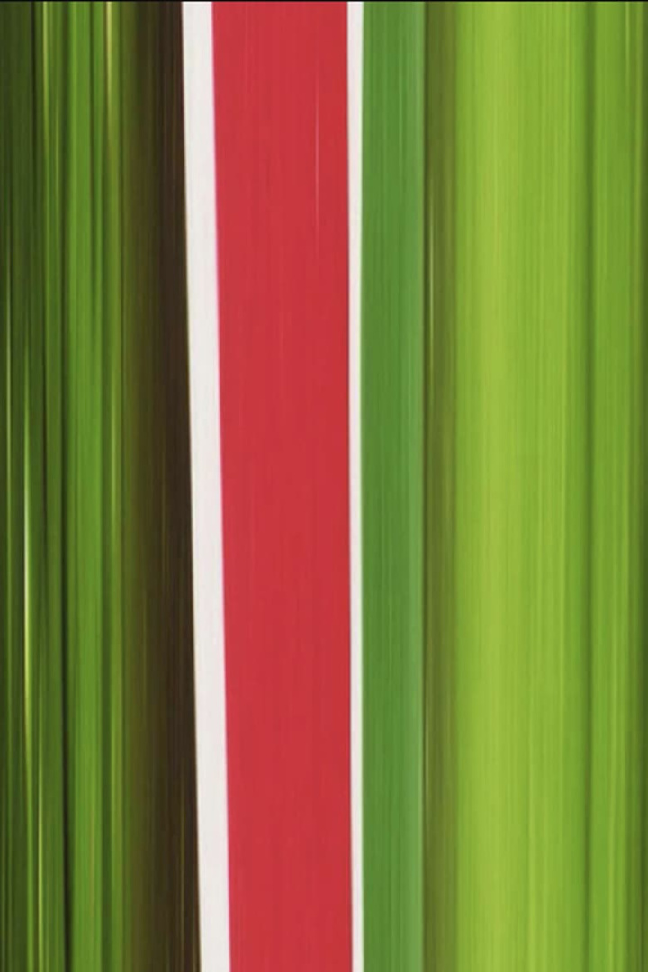 Heineken i gruppen Alla filmer hos Mohamad shop (517092)