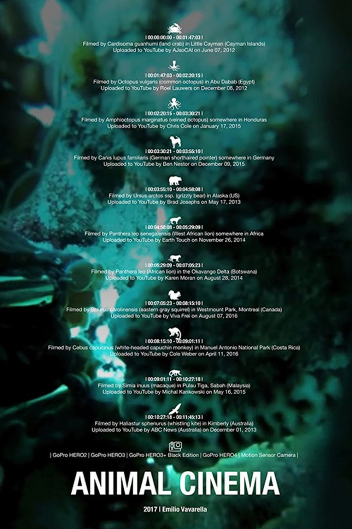 Animal Cinema i gruppen Alla filmer hos Mohamad shop (517328)