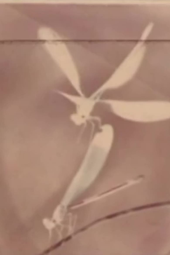 Play i gruppen Alla filmer hos Mohamad shop (517767)