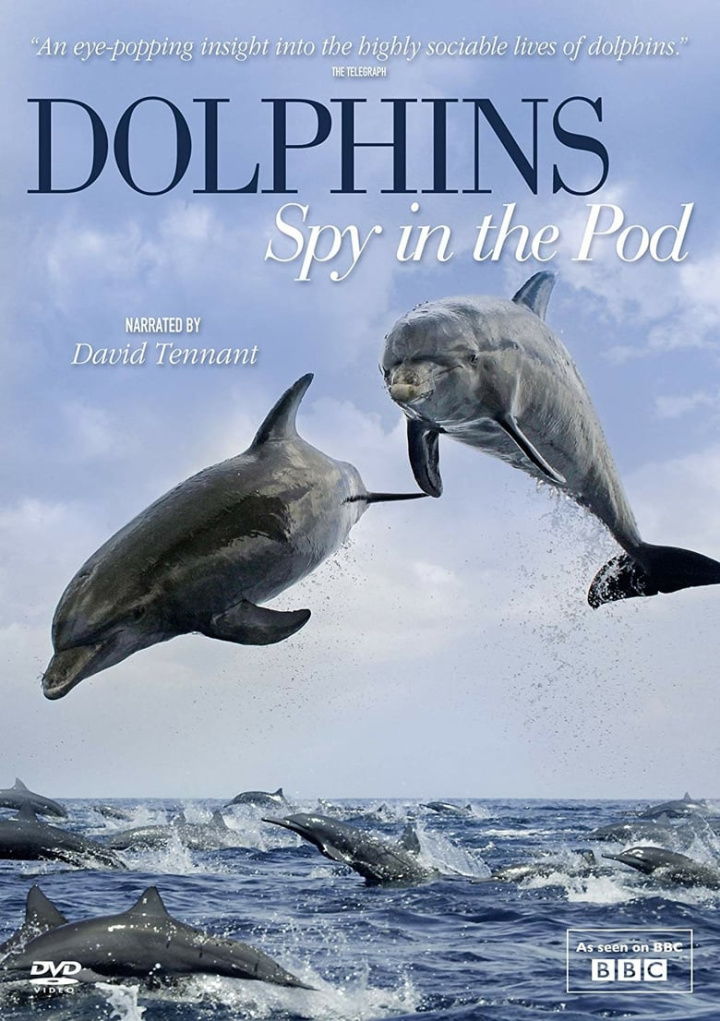 Dolphins - Spy in the Pod i gruppen Alla filmer hos Mohamad shop (517835)