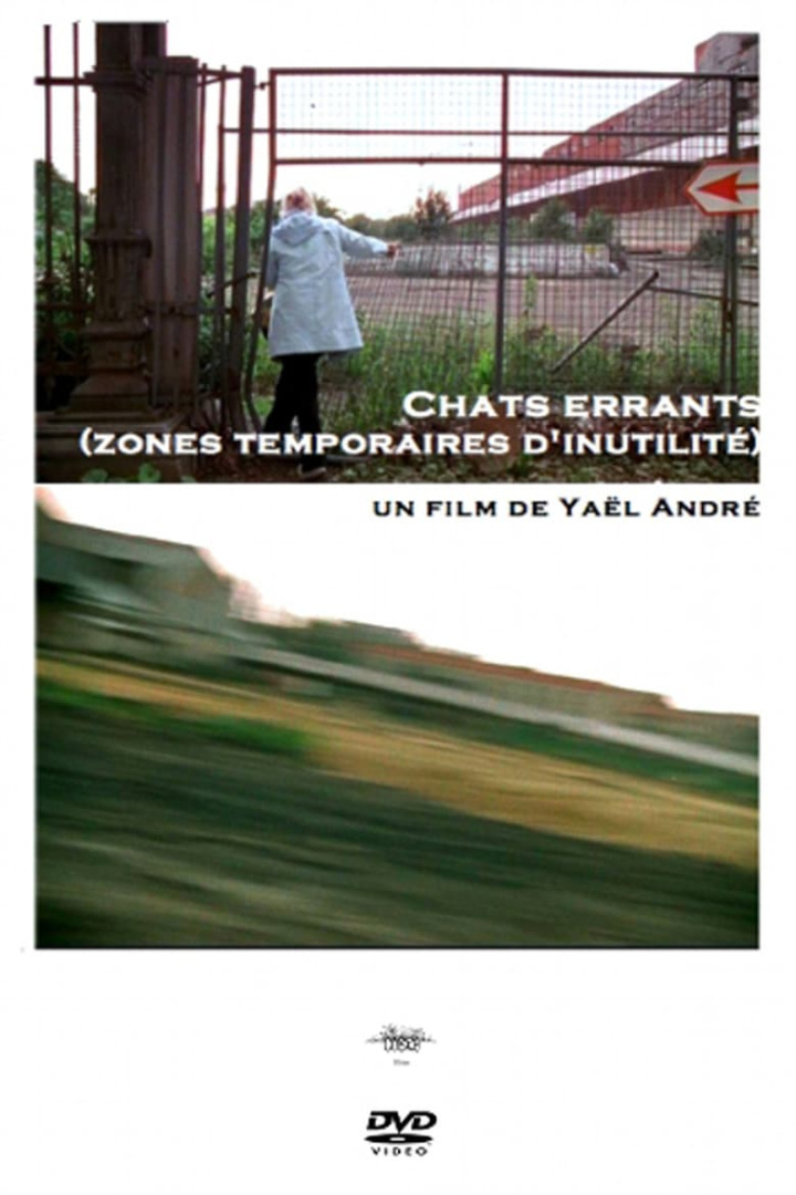 Cats i gruppen Alla filmer hos Mohamad shop (517860)