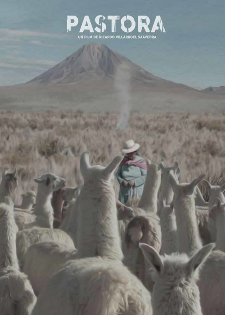 Andean Sheperdess i gruppen Alla filmer hos Mohamad shop (518005)