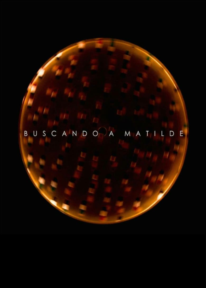 Looking for Matilde i gruppen Alla filmer hos Mohamad shop (518017)