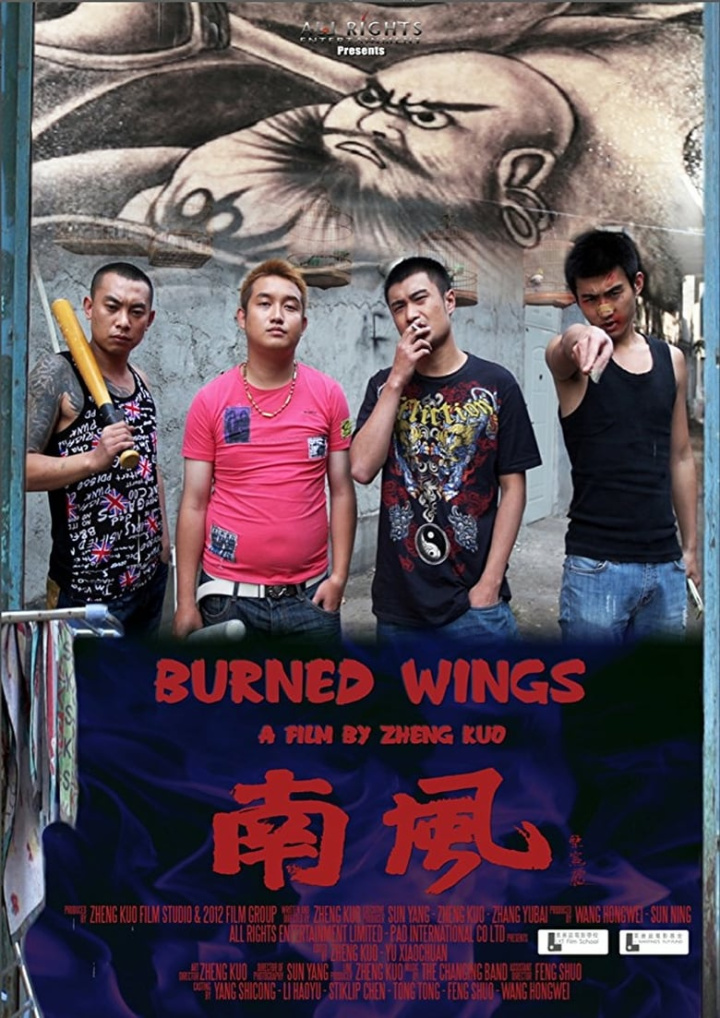 Burned Wings i gruppen Alla filmer hos Mohamad shop (518520)