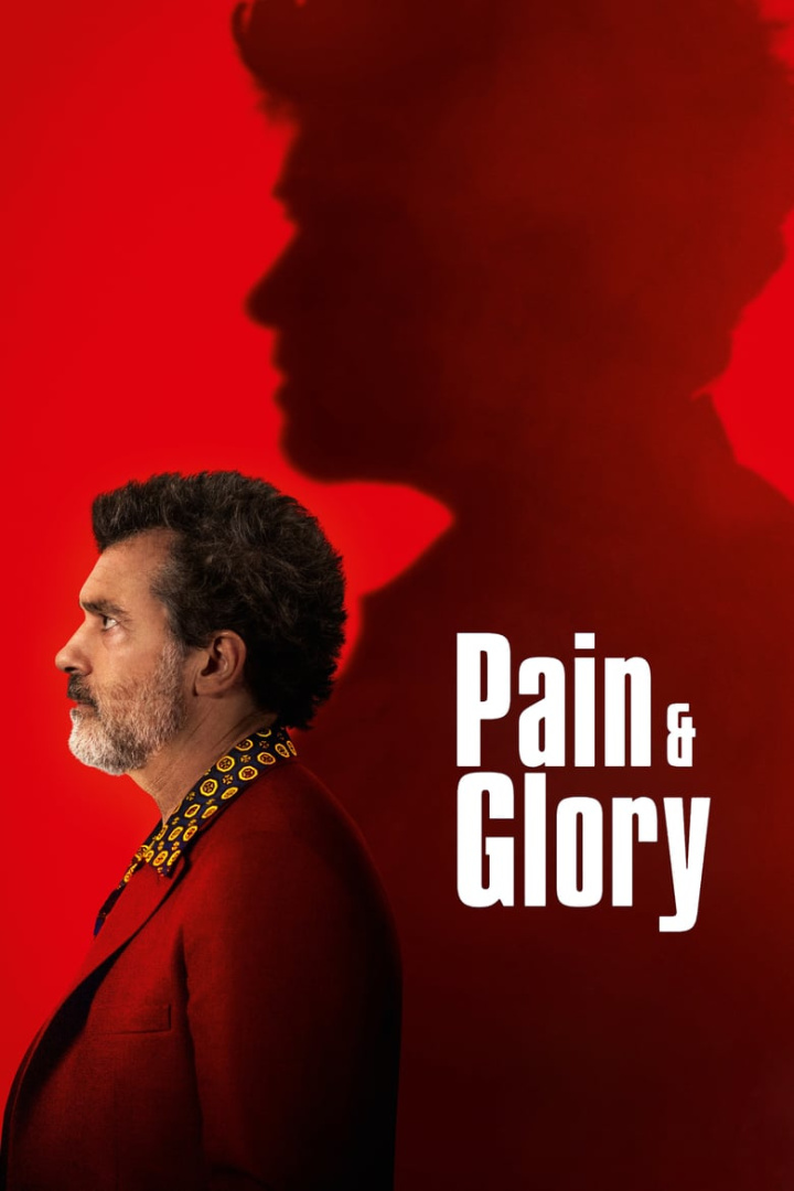 Pain and Glory i gruppen Alla filmer hos Mohamad shop (519010)