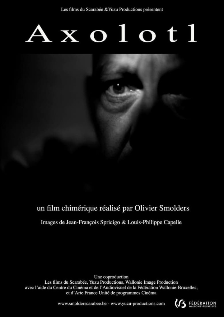 Axolotl i gruppen Alla filmer hos Mohamad shop (519136)