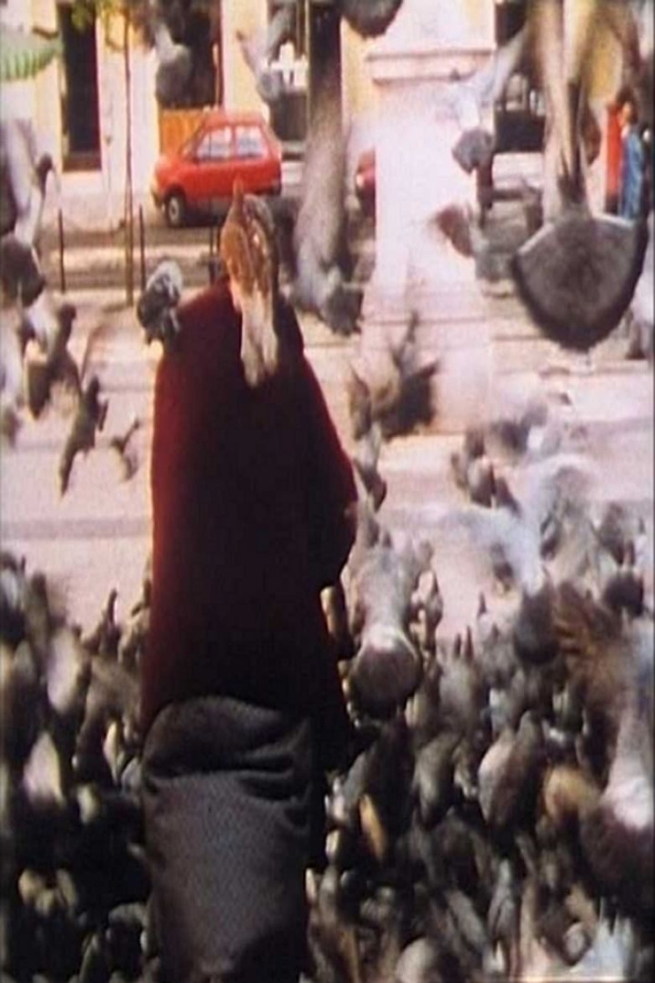 American International Pictures i gruppen Alla filmer hos Mohamad shop (519643)