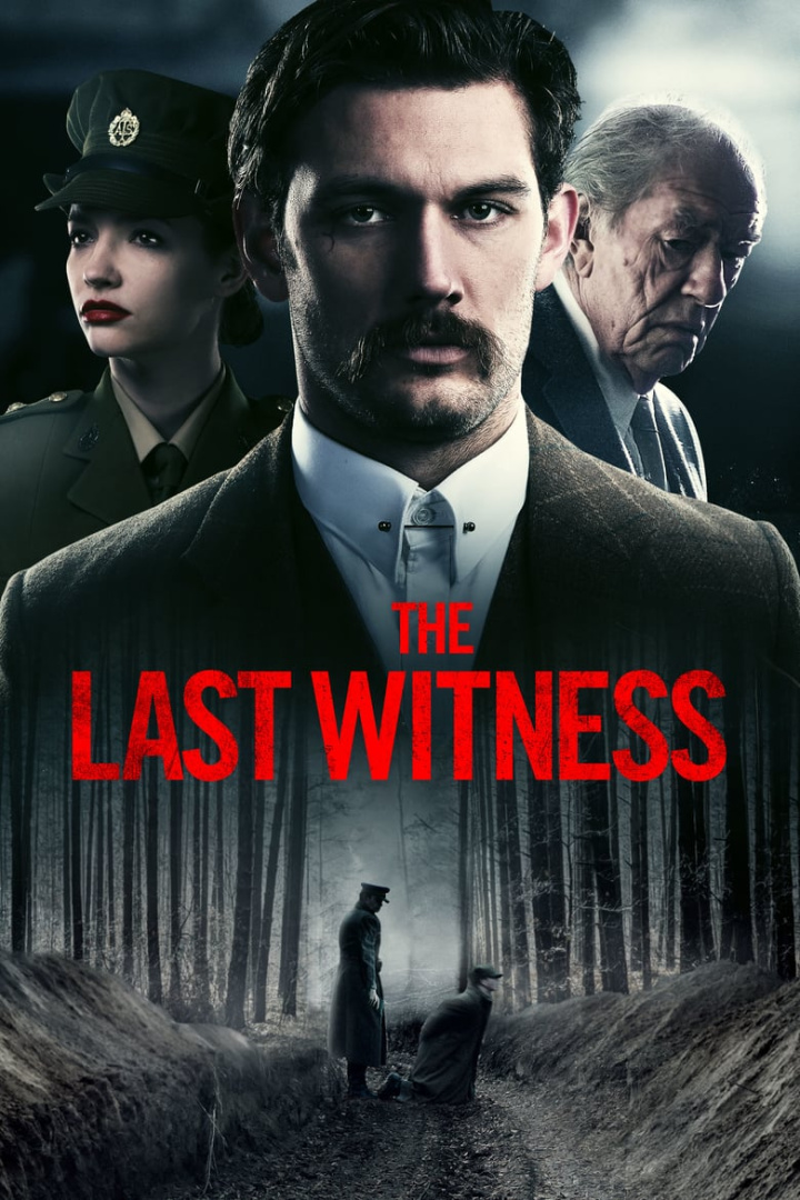The Last Witness i gruppen Alla filmer hos Mohamad shop (519956)