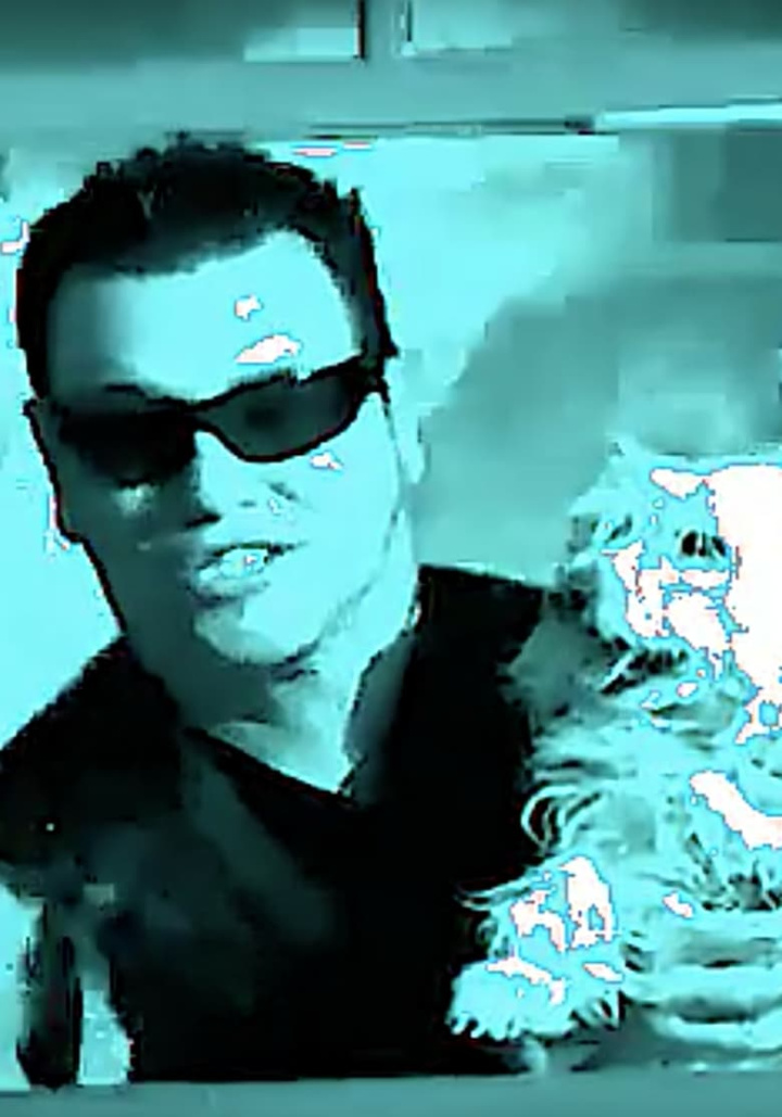 Allstarbatross i gruppen Alla filmer hos Mohamad shop (520288)