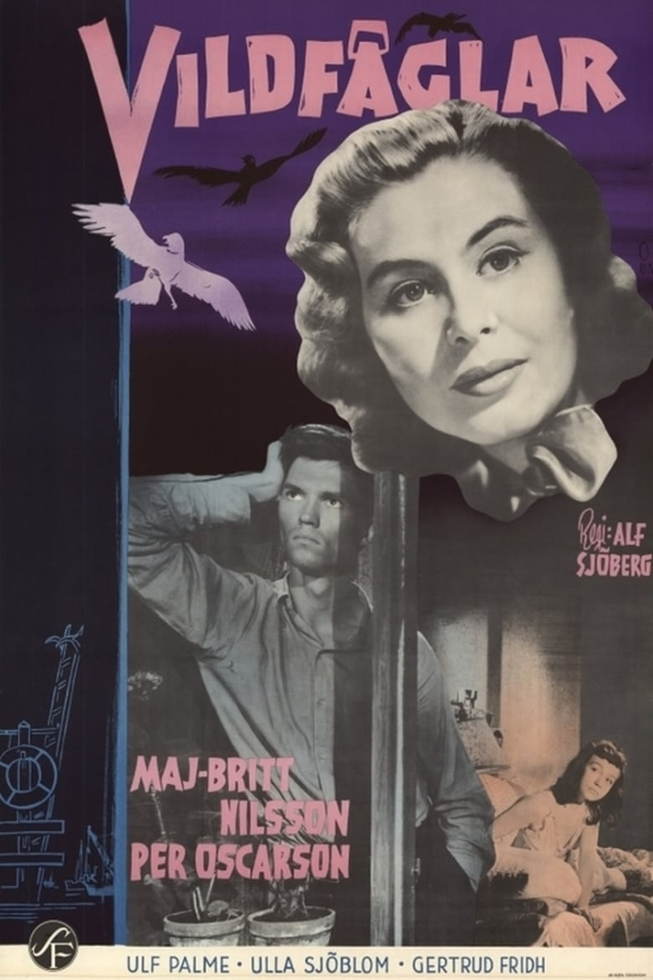 Vildfåglar i gruppen Alla filmer hos Mohamad shop (520488)