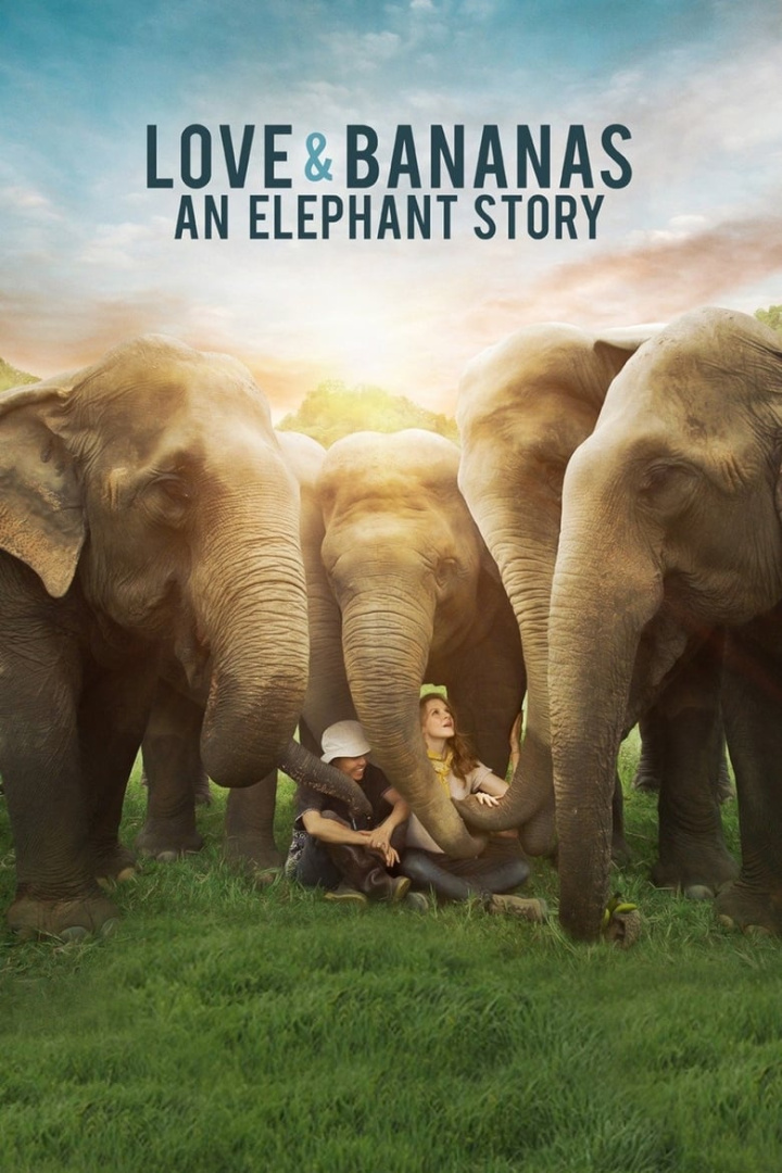 Love & Bananas: An Elephant Story i gruppen Alla filmer hos Mohamad shop (520558)