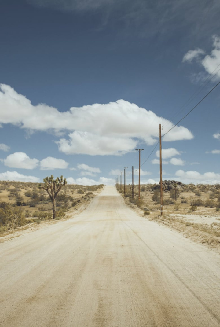 Fame in California i gruppen Alla filmer hos Mohamad shop (520616)