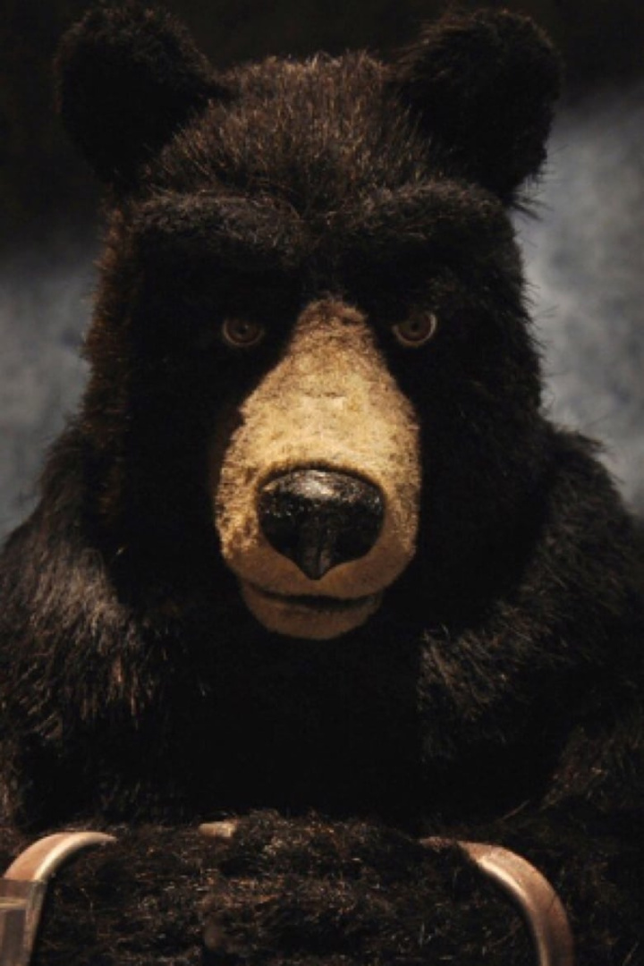 Canuck Black i gruppen Alla filmer hos Mohamad shop (521079)