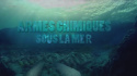 Armes chimiques sous la mer