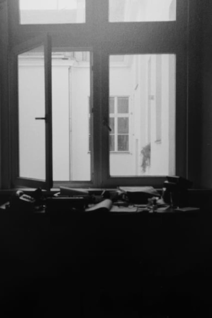 Beautiful Yellow Color i gruppen Alla filmer hos Mohamad shop (521686)