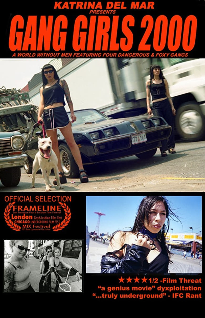 Gang Girls 2000 i gruppen Alla filmer hos Mohamad shop (522030)