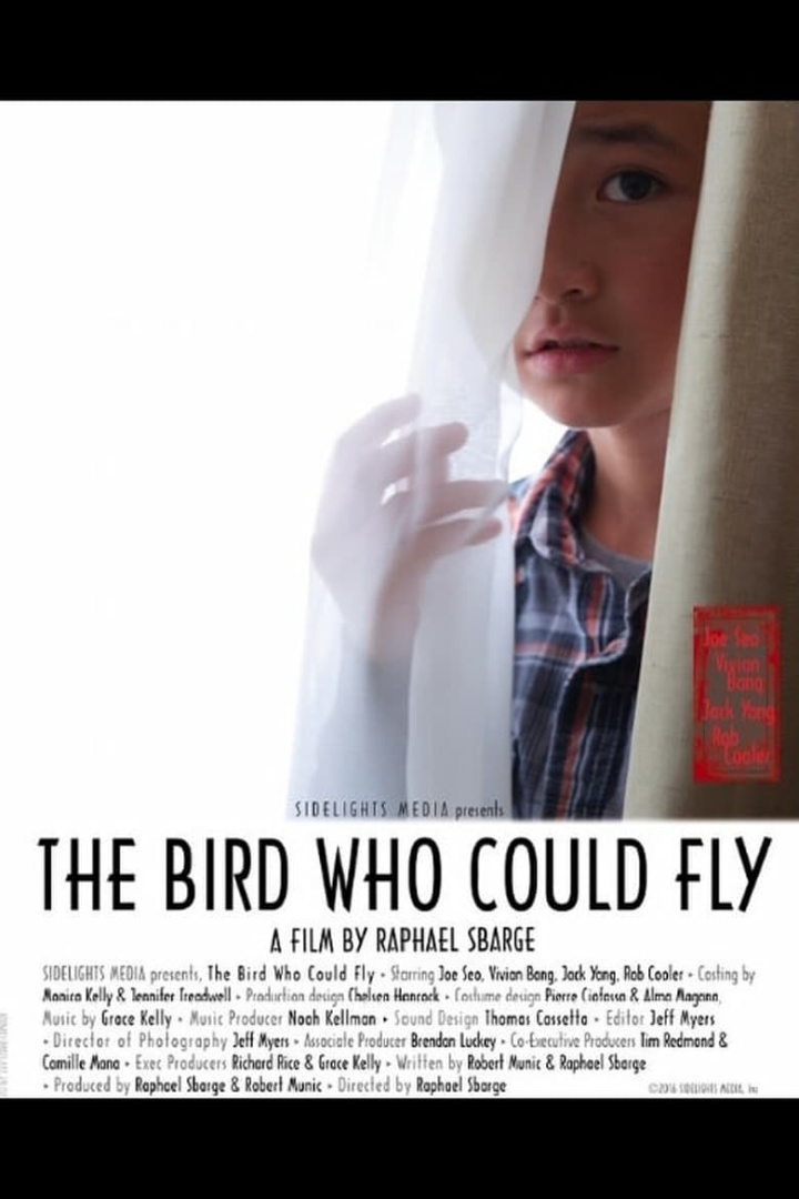 The Bird Who Could Fly i gruppen Alla filmer hos Mohamad shop (522400)