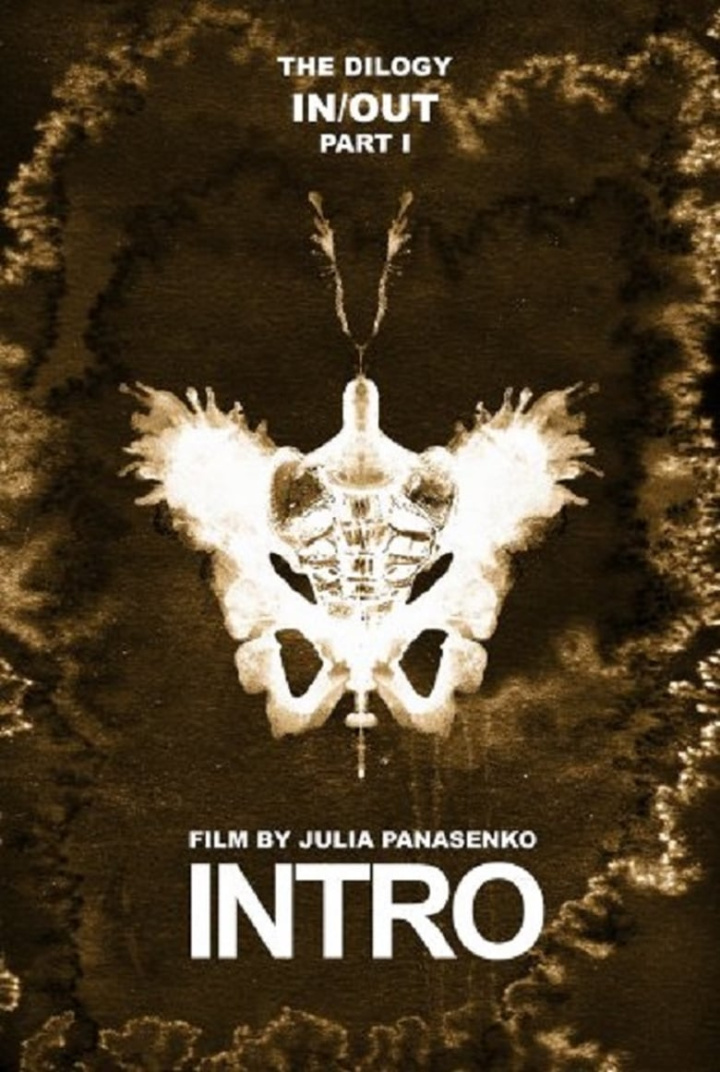 Intro i gruppen Alla filmer hos Mohamad shop (522477)