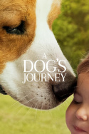 A Dog\'s Journey
