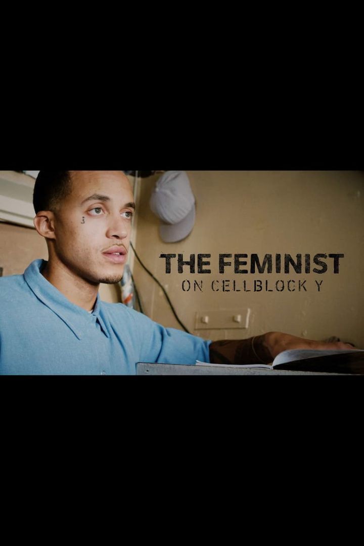 The Feminist on Cellblock Y i gruppen Alla filmer hos Mohamad shop (522529)