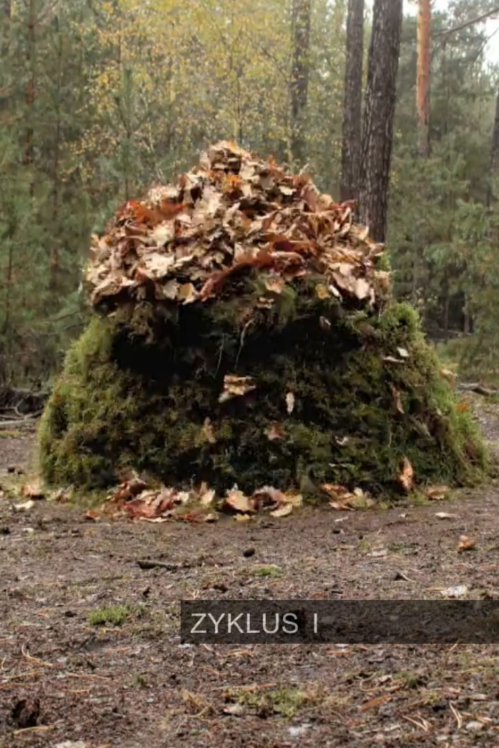 Zyklus I i gruppen Alla filmer hos Mohamad shop (522563)