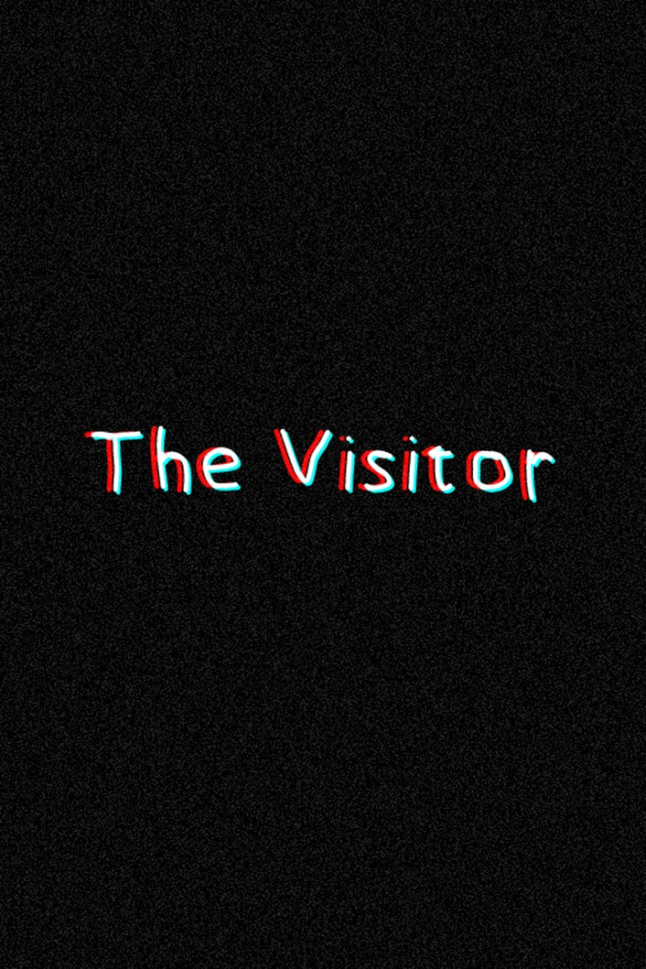 The Visitor i gruppen Alla filmer hos Mohamad shop (522729)