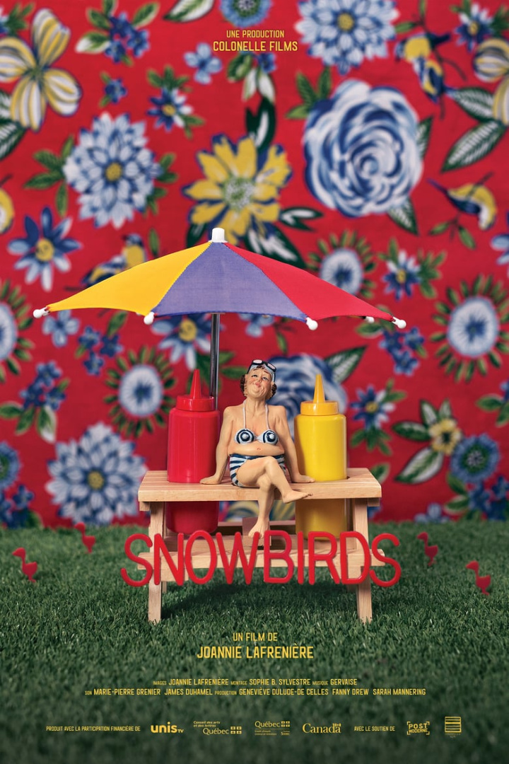 Snowbirds i gruppen Alla filmer hos Mohamad shop (522856)