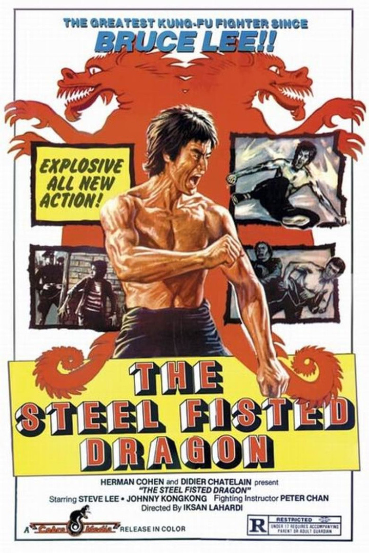 The Steel Fisted Dragon i gruppen Alla filmer hos Mohamad shop (522885)