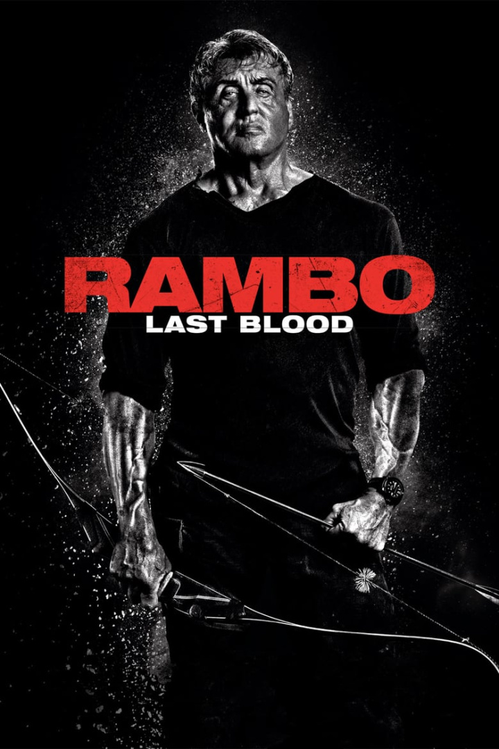 Rambo: Last Blood i gruppen Alla filmer hos Mohamad shop (522938)