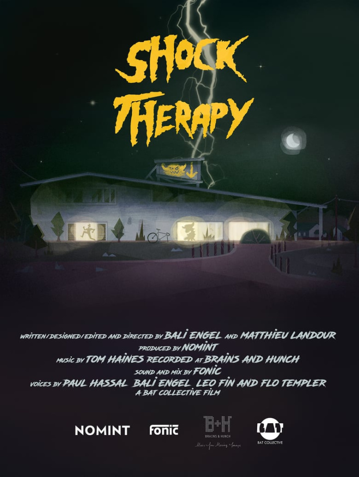 Shock Therapy i gruppen Alla filmer hos Mohamad shop (522944)