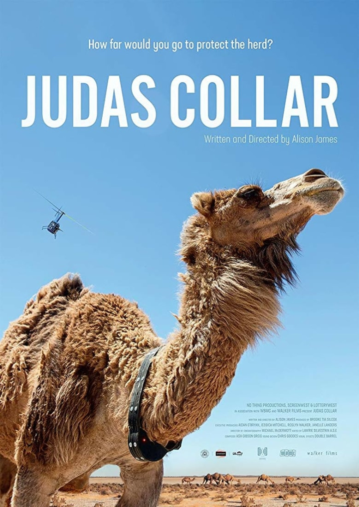Judas Collar i gruppen Alla filmer hos Mohamad shop (523244)