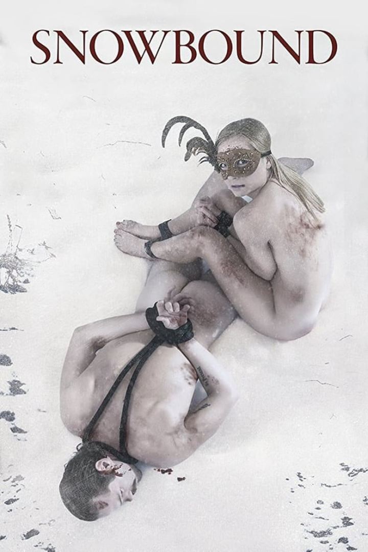 Snowbound i gruppen Alla filmer hos Mohamad shop (523307)